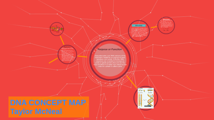 DNA CONCEPT MAP by Taylor McNeal on Prezi