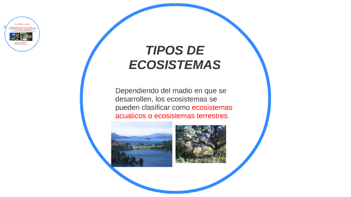 TIPOS DE ECOSISTEMAS by eduardo saez durango on Prezi