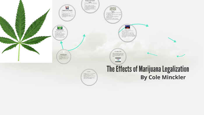 The Effects Of Marijuana Legalization By Cole Minckler On Prezi