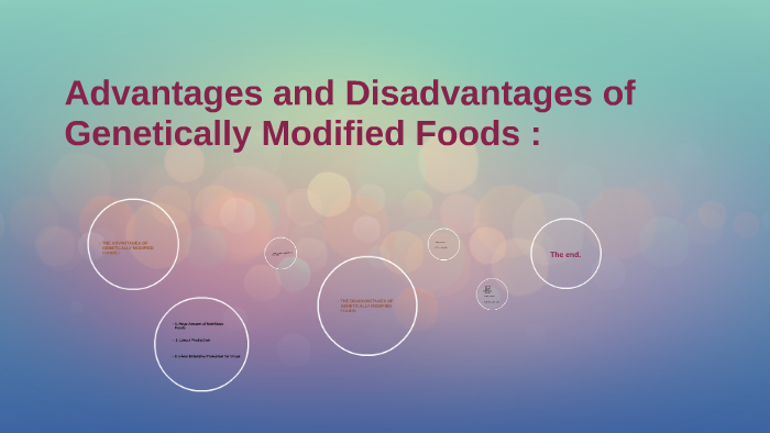 genetically modified food disadvantages essay