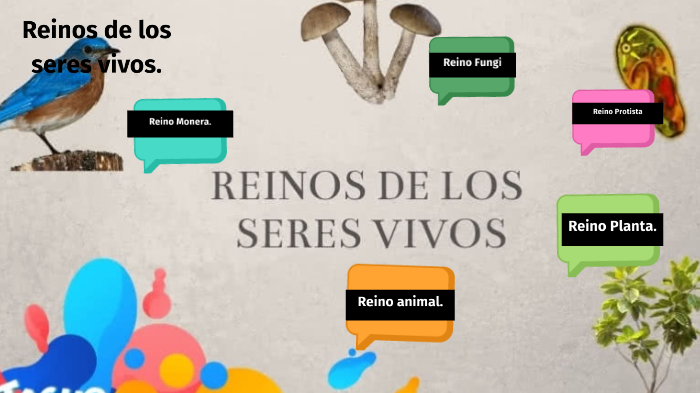 REINOS DE LOS SERES VIVOS by Antonella Garcia on Prezi