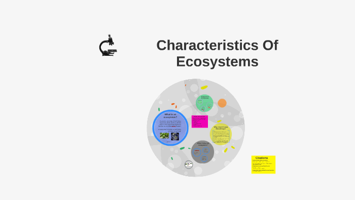 main features of an ecosystem