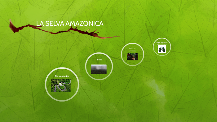 LA SELVA AMAZONICA by Alfonsina Andreoli on Prezi