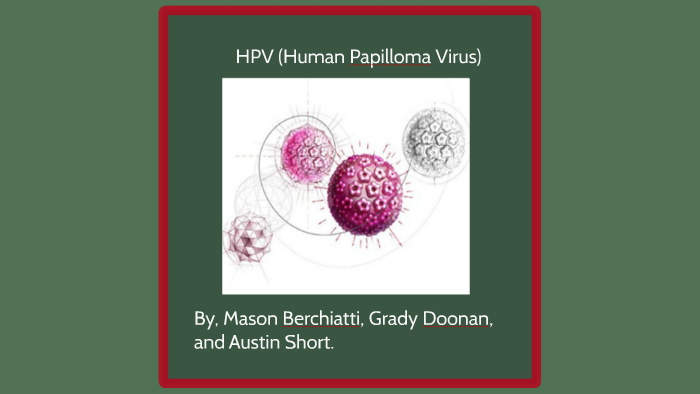 Hpv Human Papilloma Virus By Austin Short