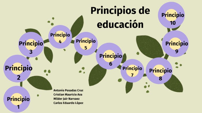 principios para educación by CARLOS EDUARDO LOPEZ HERNANDEZ on Prezi