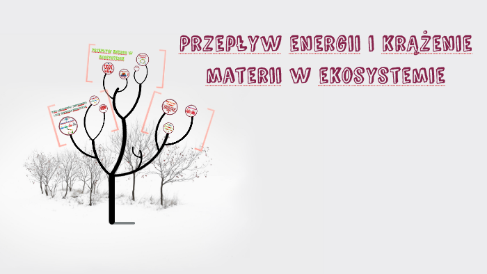 Przepływ energii i krążenie materii w ekosystemie by Kowalska Helena on