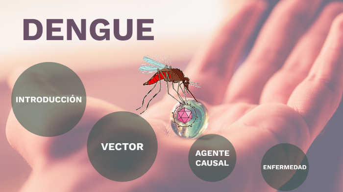 Dengue by Fatima Styles on Prezi