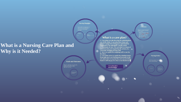 What is a Nursing Care Plan and Why is it Needed? by Christie Levy