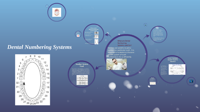Dental Numbering Systems By Chianne C On Prezi