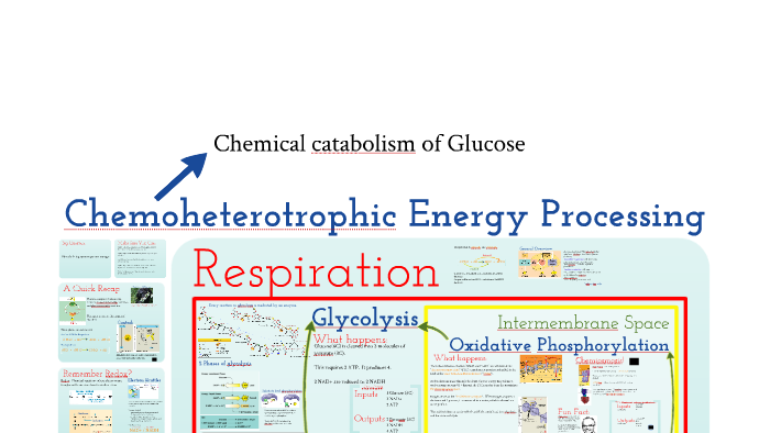 AP Bio- Metabolism 2: Chemoheterotrophic Nutrition (Cellular ...