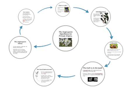 hypothesis angiosperm prezi