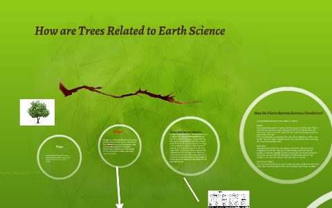 Tree El Science How are Trees Related to Earth Science by Juliette Villarreal on Prezi