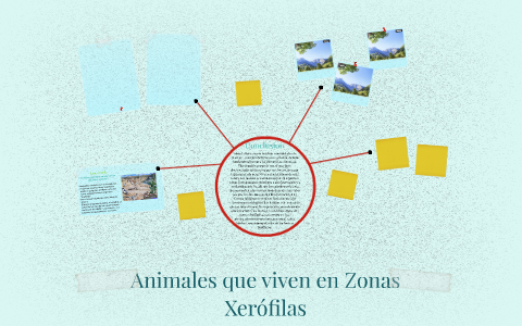 Animales Que Viven En Zonas Xer filas By Mariam Montilla On Prezi animales-que-viven-en-zonas-xer-filas-by-mariam-montilla-on-prezi