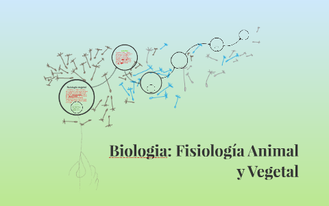 Biologia: Fisiología Animal y Vegetal by Oswaldo Rene on Prezi