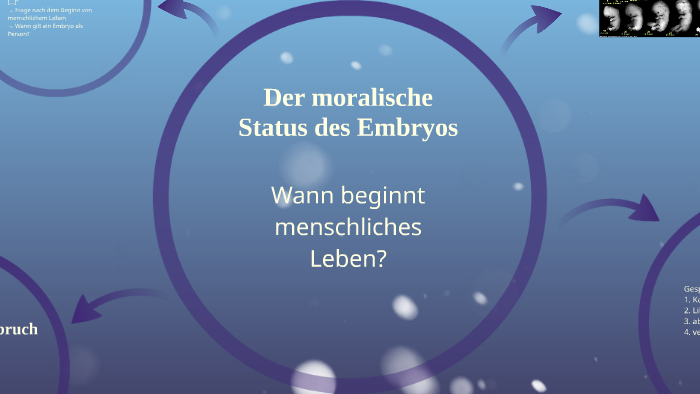 Der Moralische Status Des Embryos By Max Mertens On Prezi