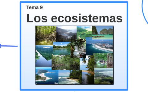 Los ecosistemas by Adrián S.P. on Prezi