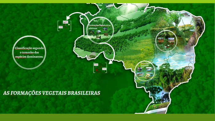 formações vegetais brasileiras by Juliane Fonseca on Prezi