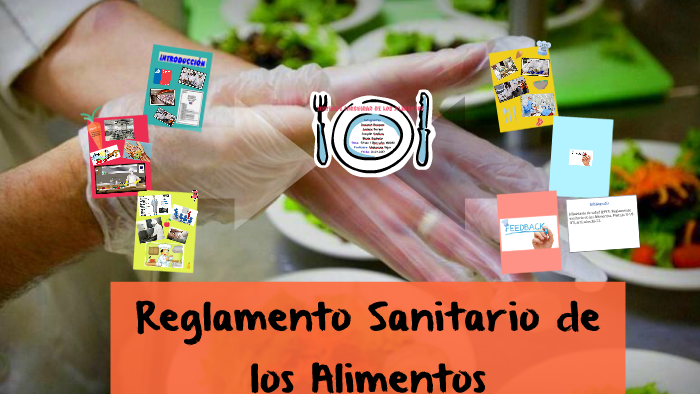 Reglamento Sanitario De Los Alimentos By Nazaret Bórquez