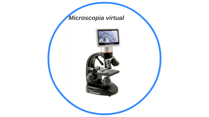 Microscopia virtual by Francisco Lima on Prezi