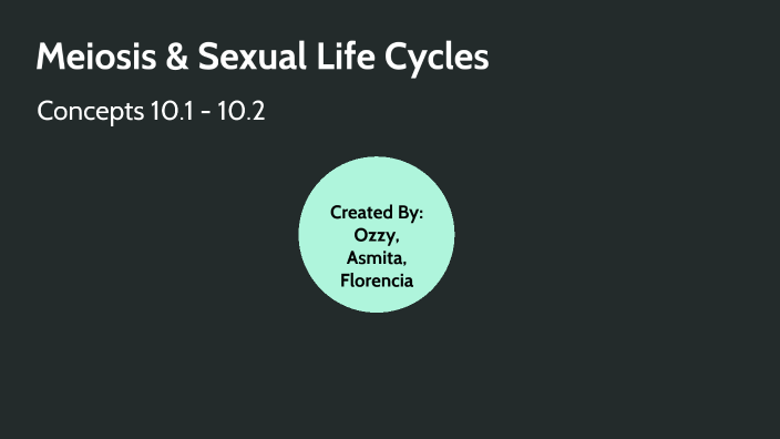 Ch. 10 Meiosis & Sexual Life Cycles By Owse Alaubaidi On Prezi