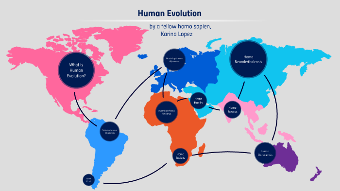 Human Evolution by ka lopez on Prezi
