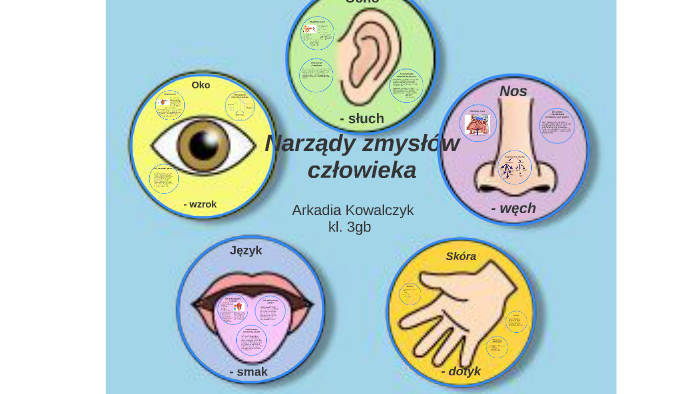 Narządy zmysłów by Arkadia Kowalczyk on Prezi