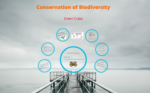 Conservation of Biodiversity Project by Jessica Anne on Prezi