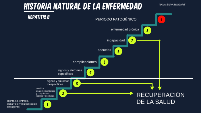 HISTORIA NATURAL DE LA ENFERMEDAD (HEPATITIS B) By BOBA NAVA On Prezi