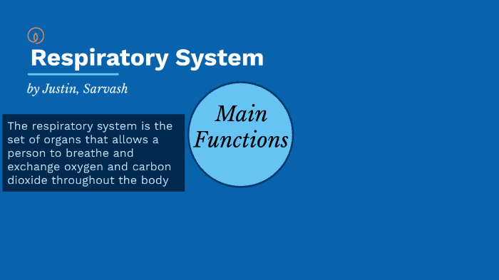 Respiratory System by Justin Arteaga on Prezi