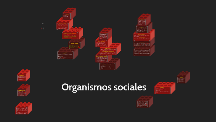 Organismos Sociales By Ramiro Aguayo