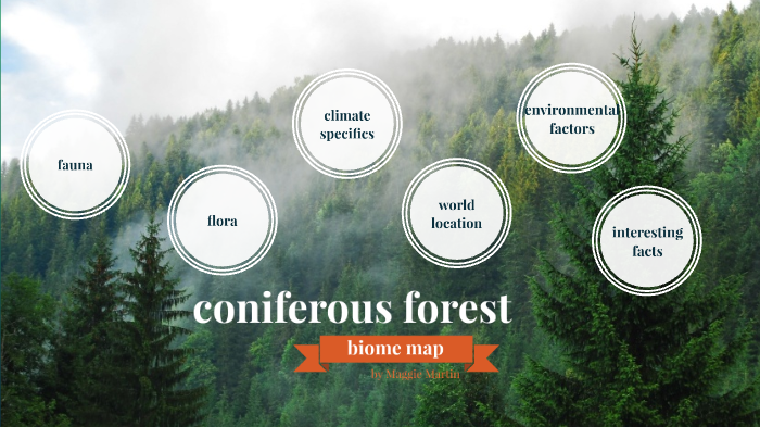 coniferous-forest-biome-concept-map-by-maggie-martin