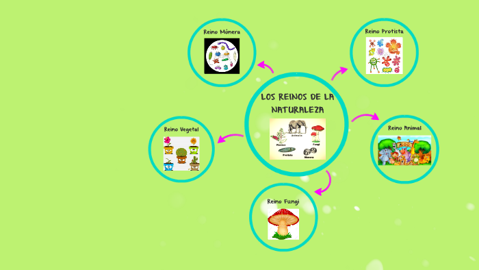 LOS REINOS DE LA NATURALEZA by Majito Nistal on Prezi