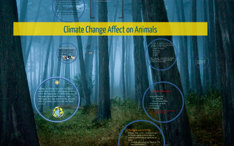 Climate Change Affect on Animals by Hillary Stahl on Prezi