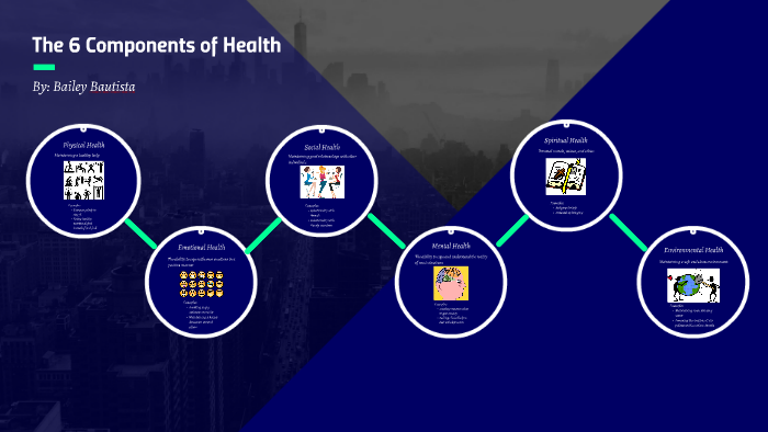 6 Components Of Health By Bailey Bautista