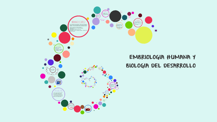 EMBRIOLOGIA HUMANA Y BIOLOGIA DEL DESARROLLO by Gissell Waltero on Prezi