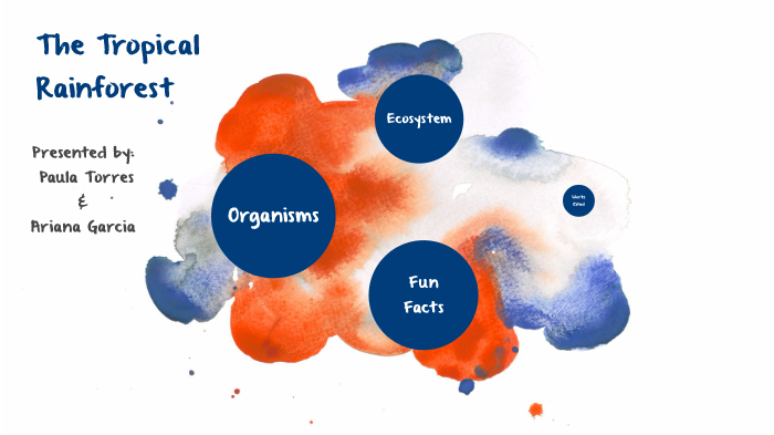 The Tropical Rainforest by Paula Torres Acevedo on Prezi