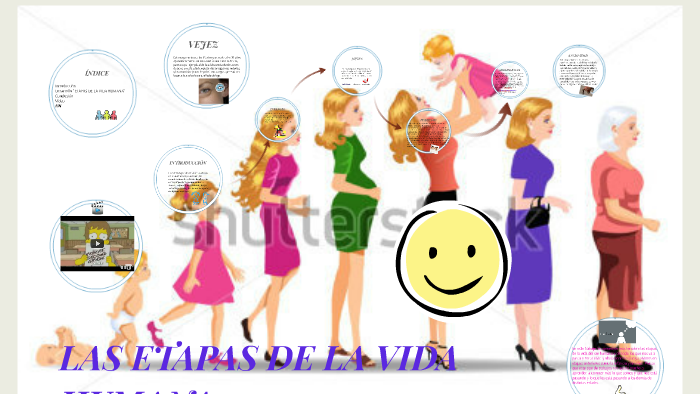 LAS ETAPAS DE LA VIDA by Lisseth Mangues Zamora on Prezi