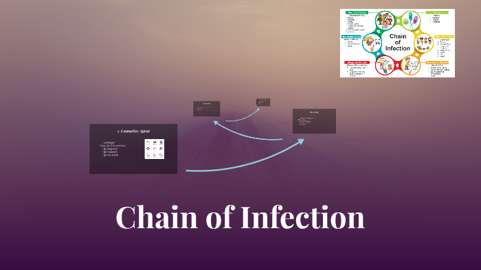 Chain of Infection by Jamesyn Bell on Prezi
