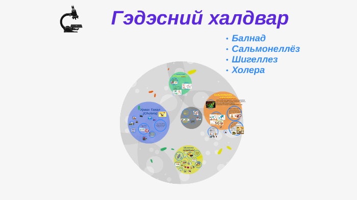 Гэдэсний халдвар by Б. Хишигжаргал on Prezi