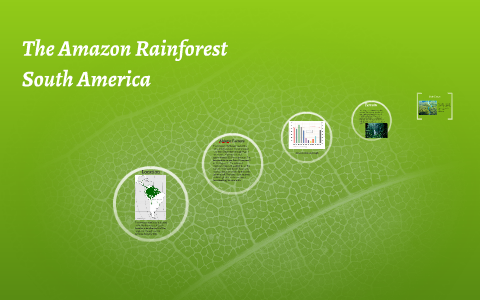 The Amazon Rainforest by megan crawford on Prezi
