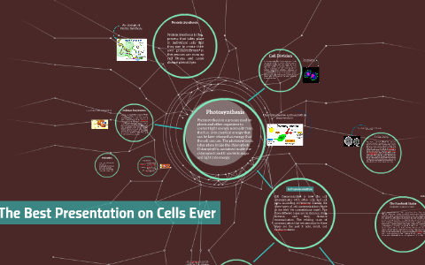 The Best Presentation on Cells by Ashleigh Wells on Prezi