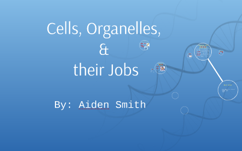Cells by Aiden Smith on Prezi