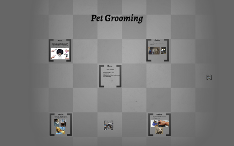 Pet Grooming by on Prezi