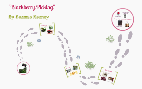 "Blackberry Picking" By Seamus Heaney by Sarah Lyons on Prezi