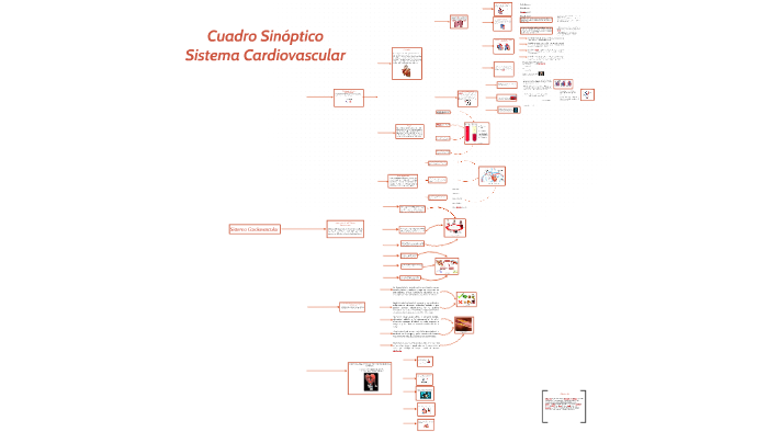 Mapa Sinoptico Sistema Cardiovascular by Cesar Esteban Yara