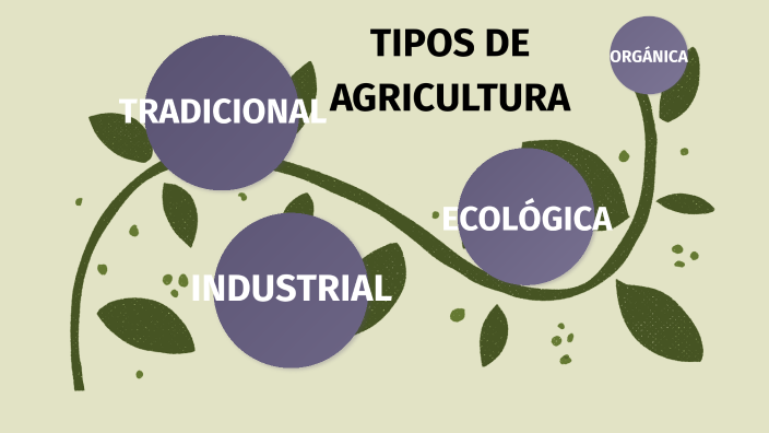 Tipos De Agricultura By Vanessa Orlando Toala 6641