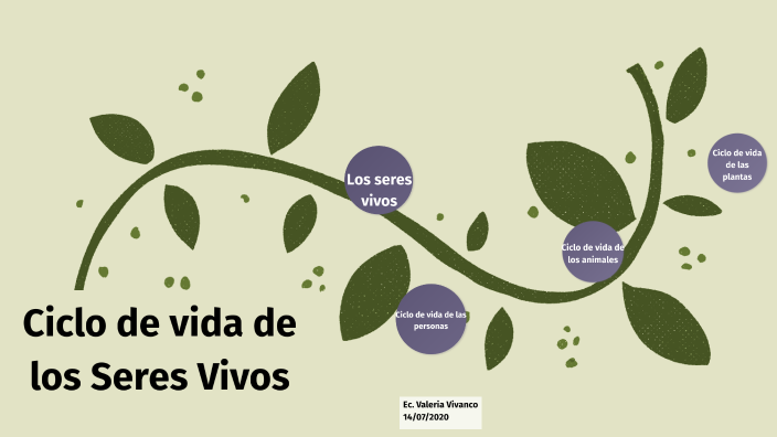 El Ciclo De La Vida De Los Seres Vivos By Angélica Vivanco On Prezi