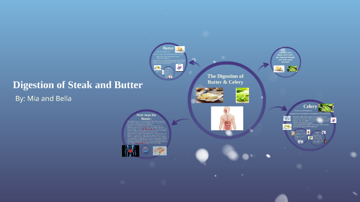 Digestion of Steak and Butter by M D on Prezi