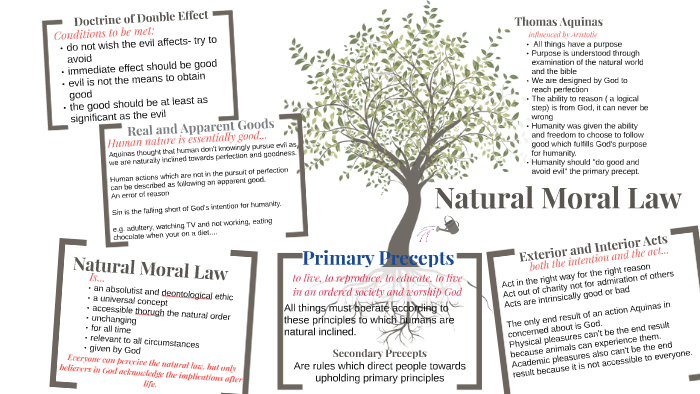 natural-moral-law-knowledge-organiser-teaching-resources