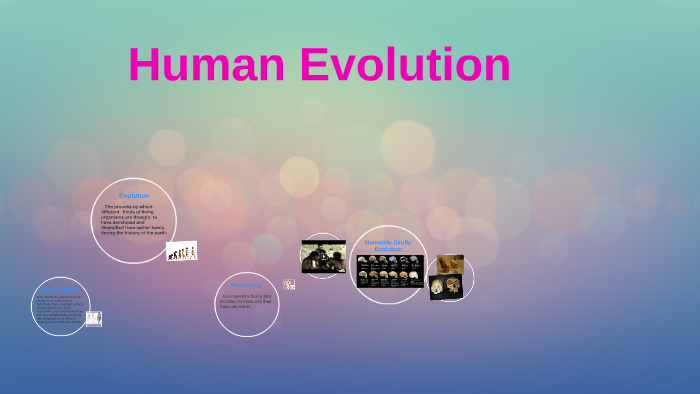 Human Evolution by Katherine Lozano on Prezi